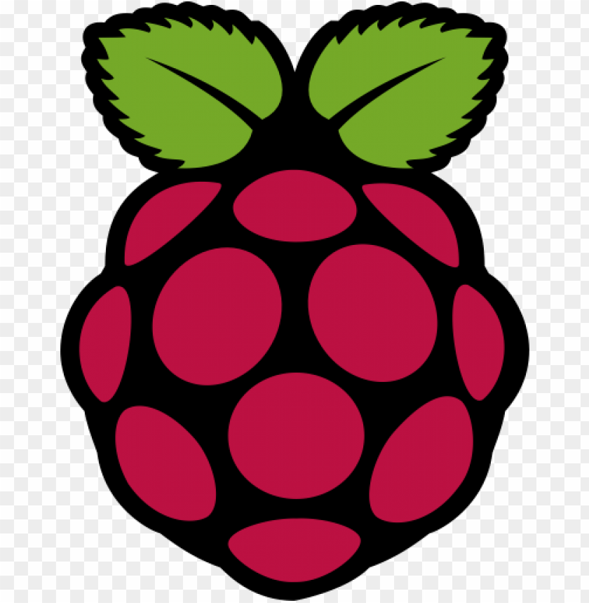 Raspberry Pi